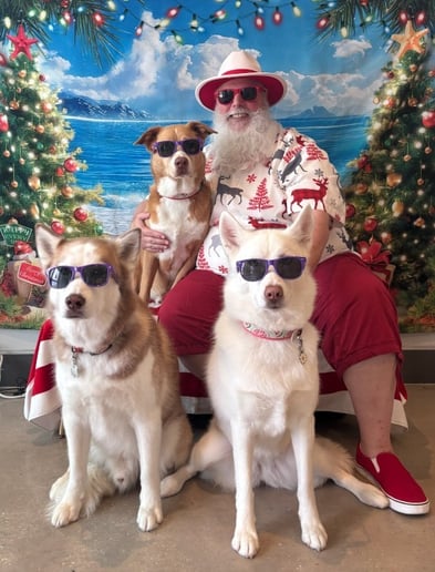 Gallery photo 10 of Orlando Santa Pete