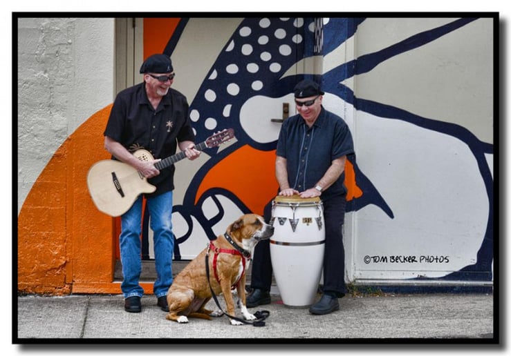 Gallery photo 10 of Orvil Ivie Smooth Jazz & Variety Guitarist