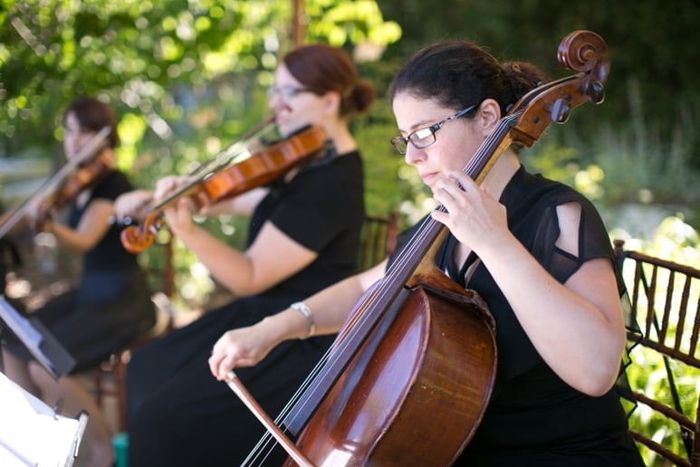 Gallery photo 2 of OurStrings4You