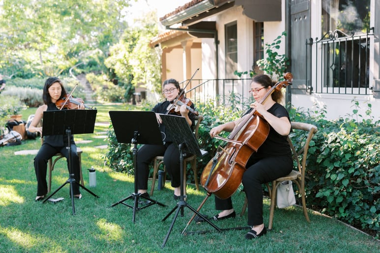 Gallery photo 7 of OurStrings4You