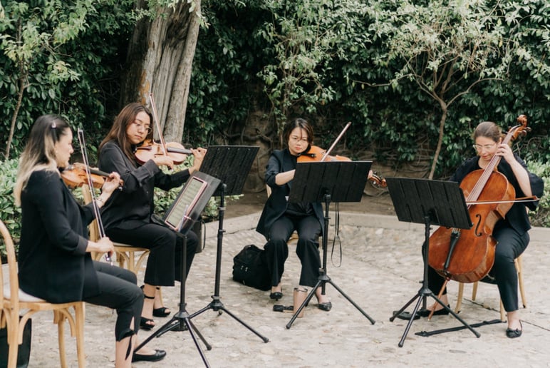 Gallery photo 8 of OurStrings4You
