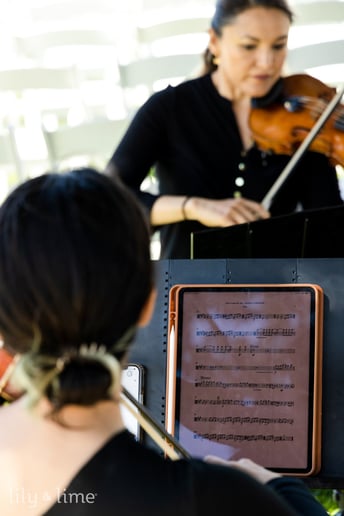 Gallery photo 9 of OurStrings4You