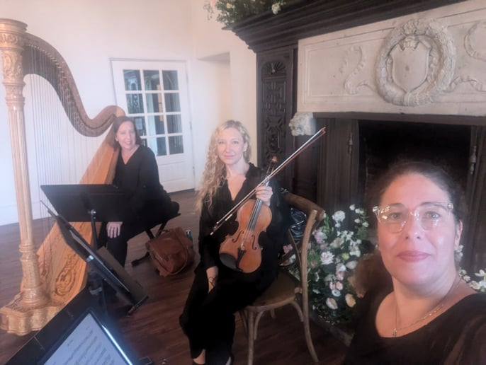 Gallery photo 10 of OurStrings4You