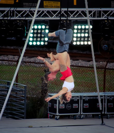 Gallery photo 9 of Out on a Limb
