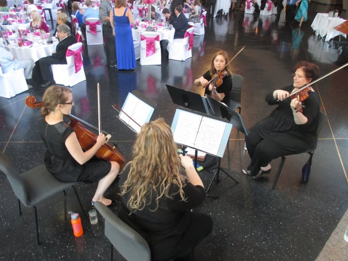 Gallery photo 1 of Ovation String Quartet