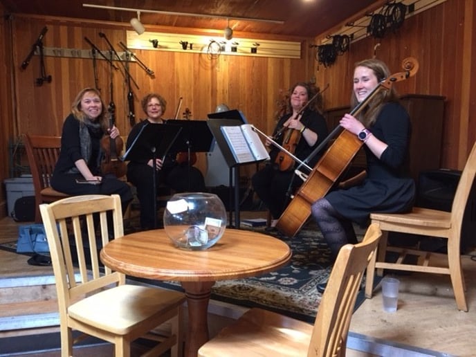 Gallery photo 3 of Ovation String Quartet