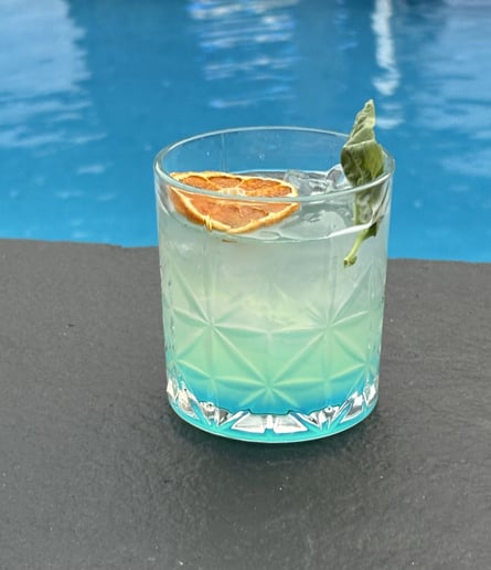 Gallery photo 7 of Oz the Mixologist
