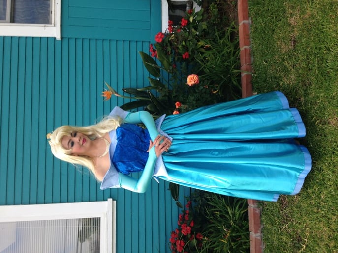 Gallery photo 6 of Pacific Princess Parties