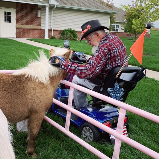 Gallery photo 6 of Paige’s Pony Parties LLC