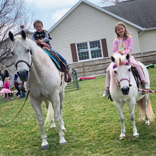 Gallery photo 8 of Paige’s Pony Parties LLC