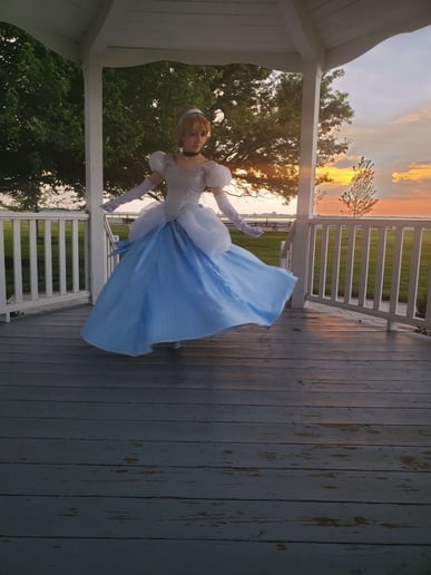 Gallery photo 2 of Palace Plus