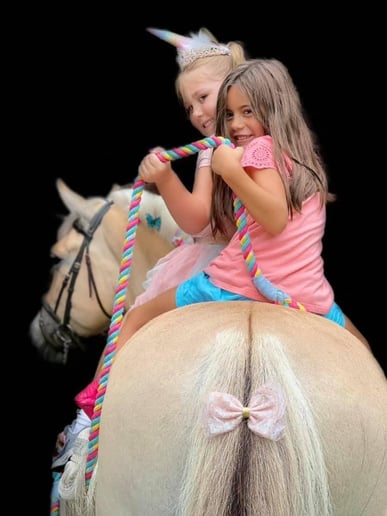 Gallery photo 3 of Palm Valley Pony Parties