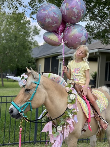 Gallery photo 7 of Palm Valley Pony Parties
