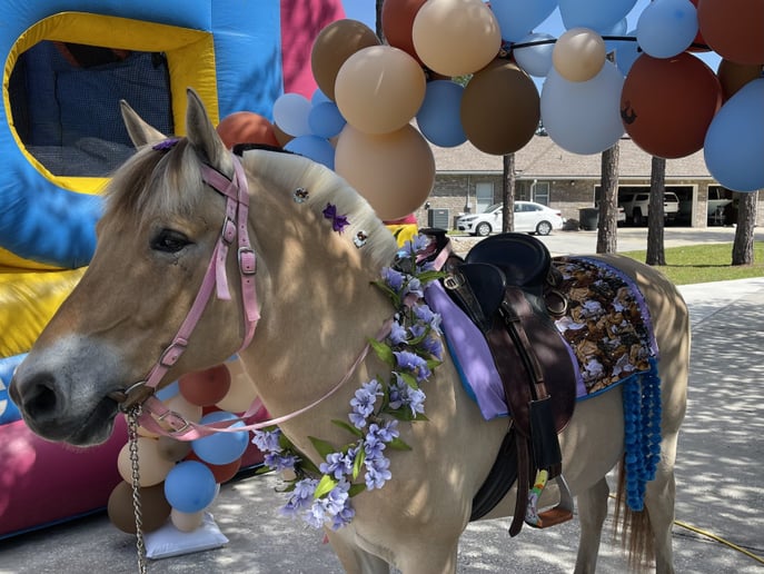 Gallery photo 8 of Palm Valley Pony Parties