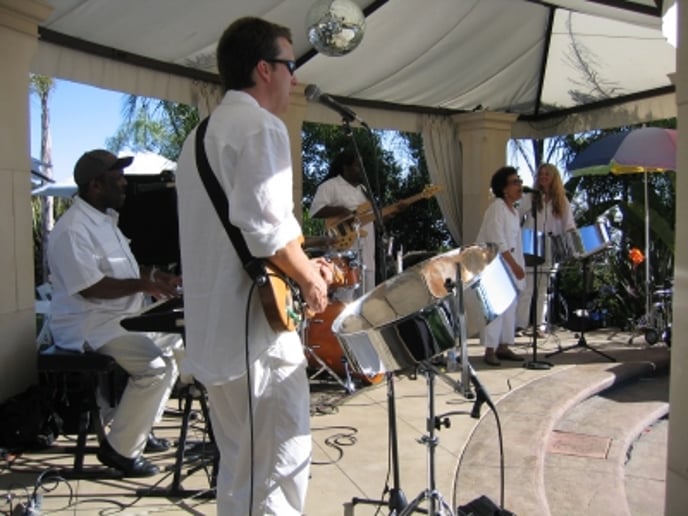 Gallery photo 2 of Pan-A-Cea Band