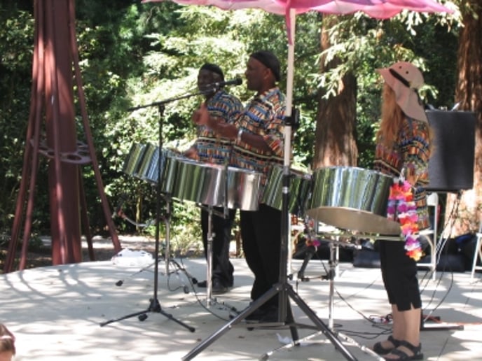 Gallery photo 9 of Pan-A-Cea Band