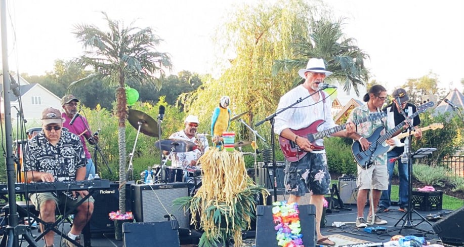 Gallery photo 4 of Panama Rex Band