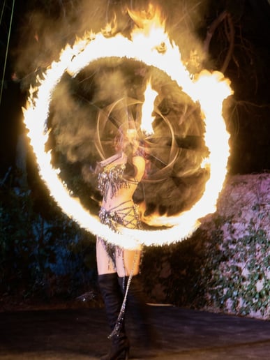 Gallery photo 13 of Pandora Entertainment