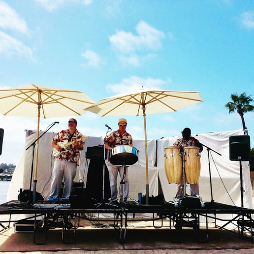 Gallery photo 12 of Panjive Steel Drum Entertainment
