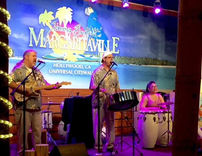 Gallery photo 7 of Panjive Steel Drum Entertainment