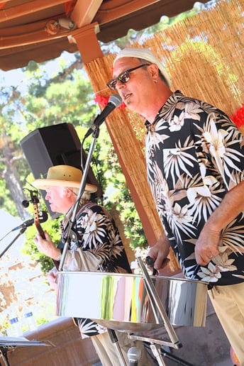 Gallery photo 37 of Panjive Steel Drum Entertainment