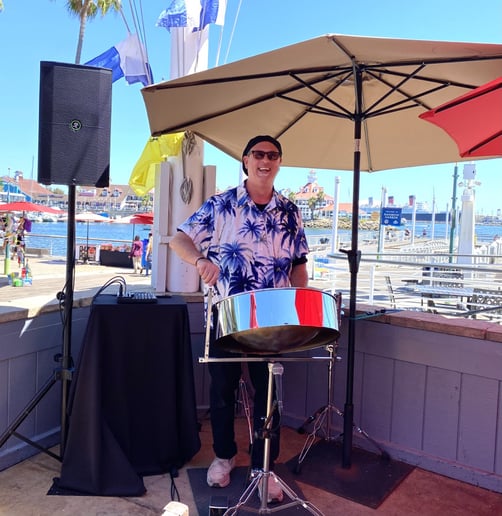 Gallery photo 8 of Panjive Steel Drum Entertainment