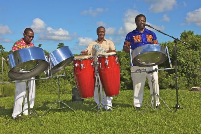 Gallery photo 10 of Steel Drum Band RythmTrail