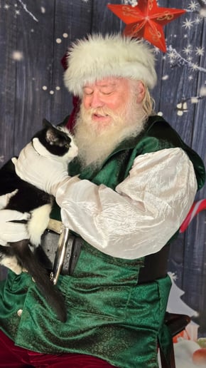 Gallery photo 9 of Papa Ed Noel