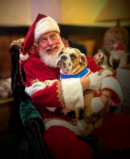 Gallery photo 8 of Papa Santa