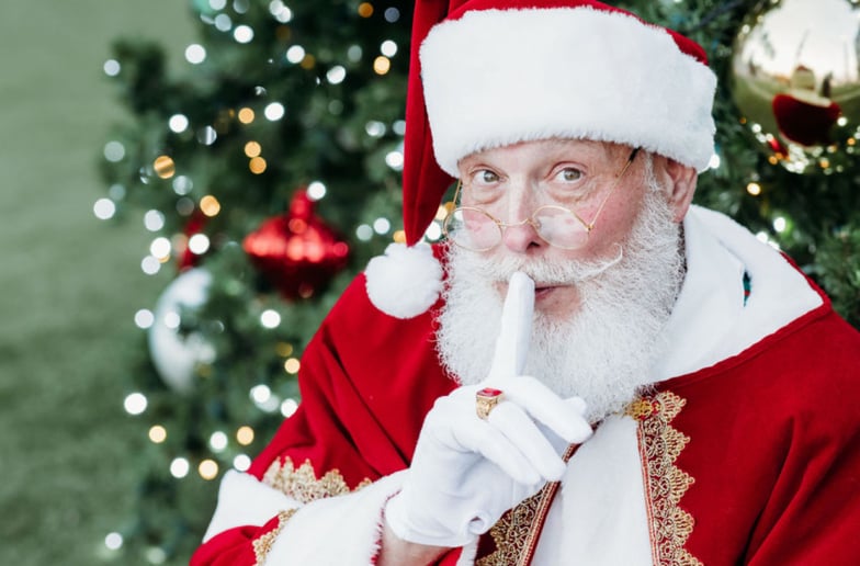 Gallery photo 10 of Papa Santa