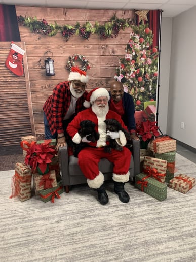 Gallery photo 13 of PapaSanta