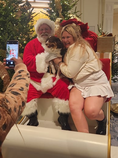 Gallery photo 23 of PapaSanta
