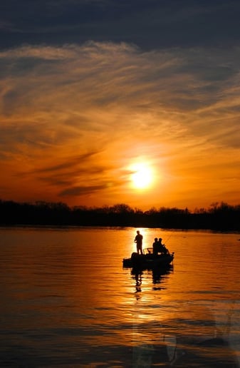 Gallery photo 2 of Paprock Photography