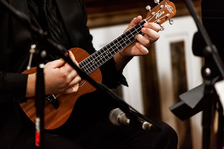 Gallery photo 2 of Paradise Strings