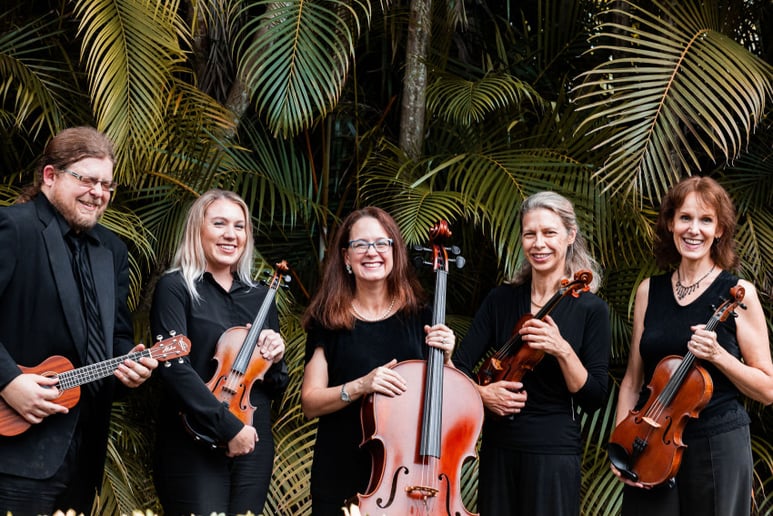 Gallery photo 1 of Paradise Strings