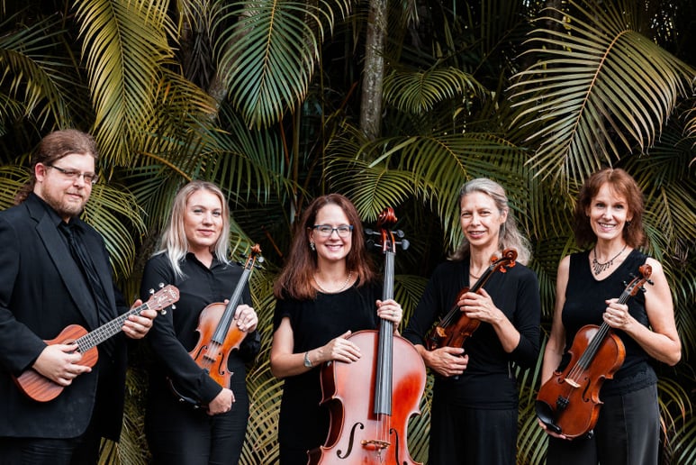 Gallery photo 4 of Paradise Strings