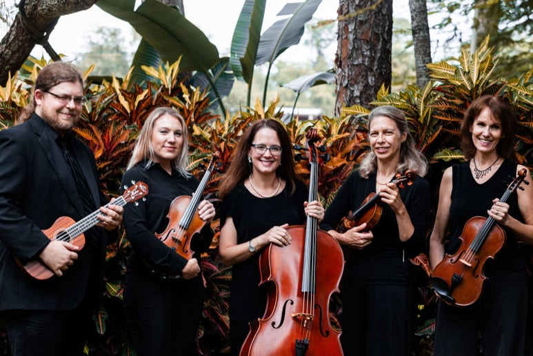 Gallery photo 5 of Paradise Strings