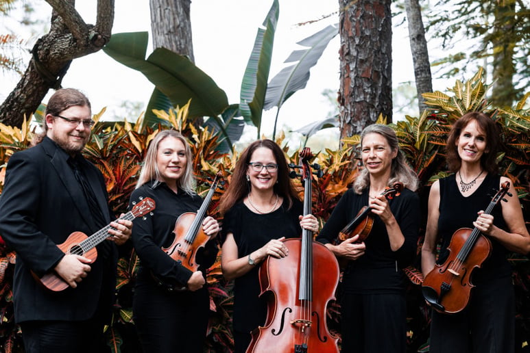 Gallery photo 6 of Paradise Strings