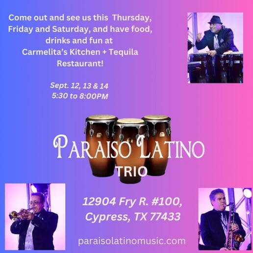Gallery photo 1 of Paraiso Latino Band