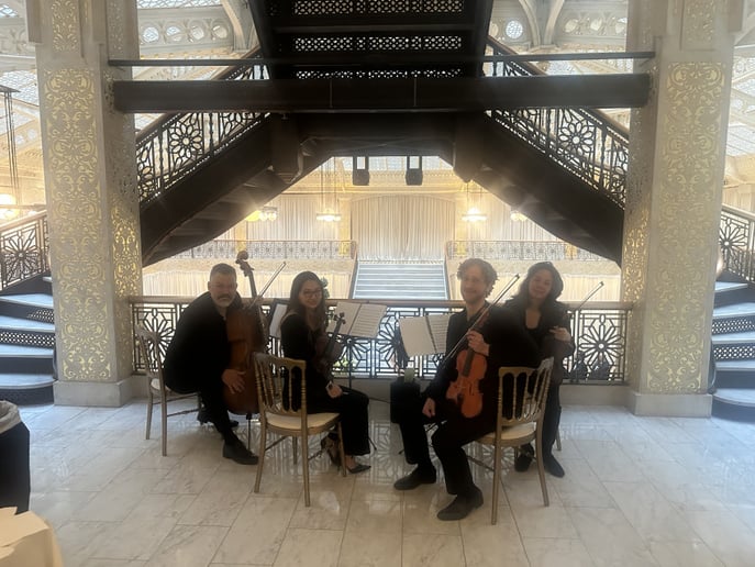 Gallery photo 2 of Parkwest Strings