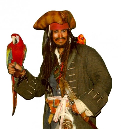 Gallery photo 3 of Pirates for Parties