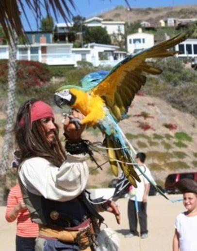 Gallery photo 12 of Pirates for Parties