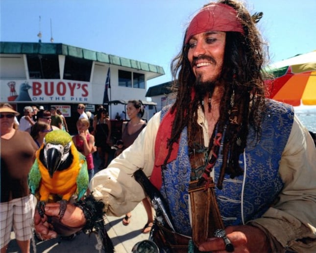 Gallery photo 1 of Pirates for Parties