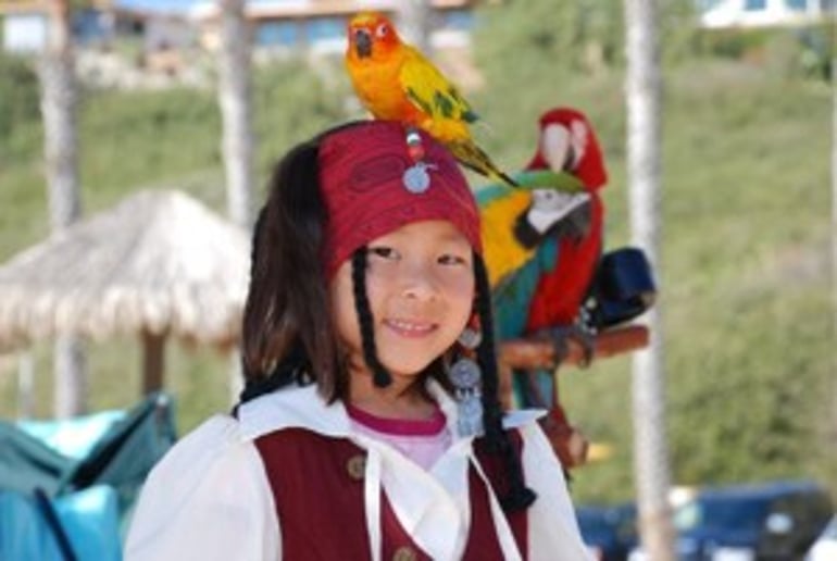 Gallery photo 35 of Pirates for Parties