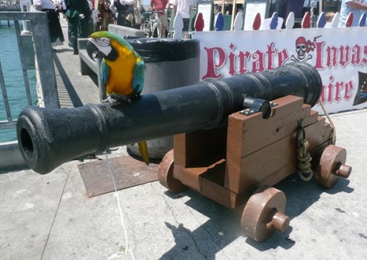 Gallery photo 44 of Pirates for Parties