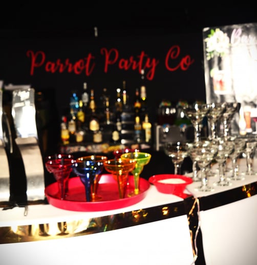 Gallery photo 4 of Parrot Party Co