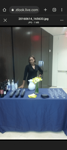 Gallery photo 8 of Party Helpers