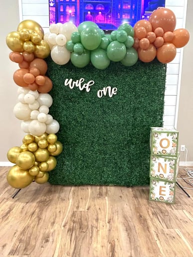 Gallery photo 7 of Party Mode LLC