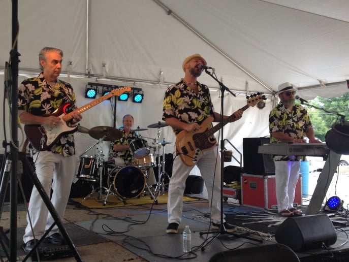 Gallery photo 5 of Party Parrot Band