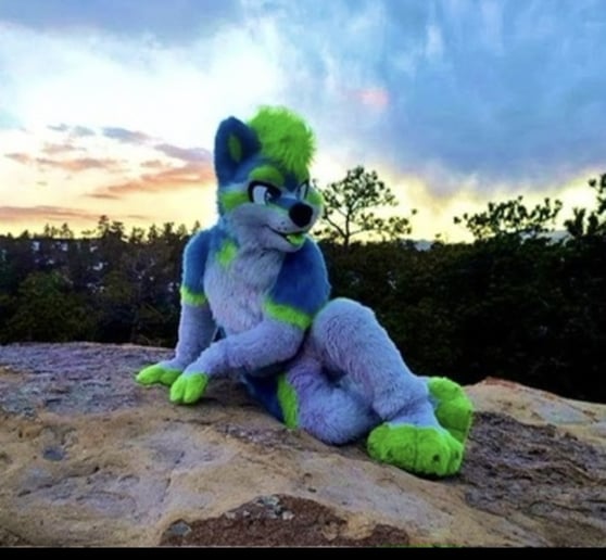 Gallery photo 4 of Party Paws 🐾 Mascot